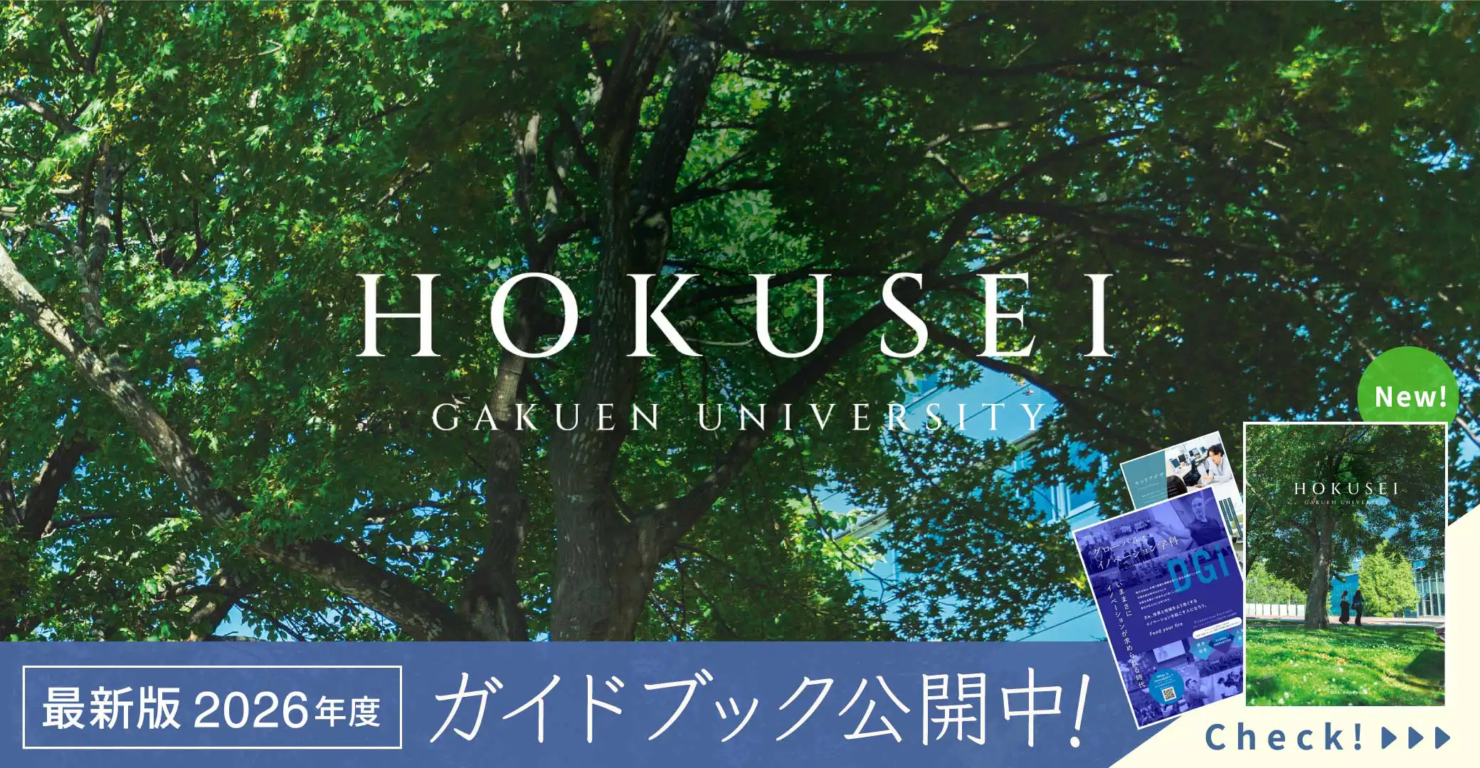 デジタルパンフレット